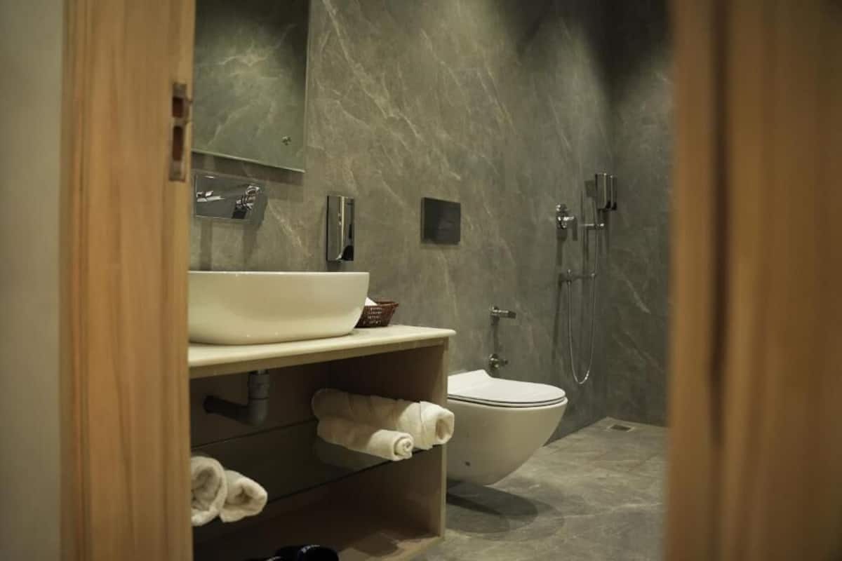 Habitació doble Deluxe, s'admeten animals de companyia, vistes a la ciutat | Bany