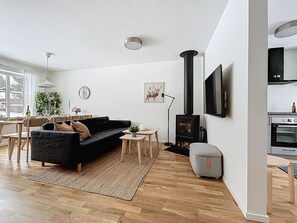 TV, fireplace