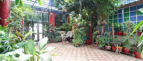 Maison | Terrasse/patio