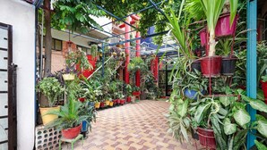 A courtyard with potted plants, a tiled floor, and a metal gate. - Premiumjannat Residency (Jodhpur)
