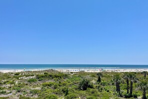 Une plage à la végétation clairsemée, un ciel dégagé et une vue lointaine sur l’océan.