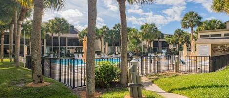 A pool area with palm trees, a fence, and a sign indicating no diving.