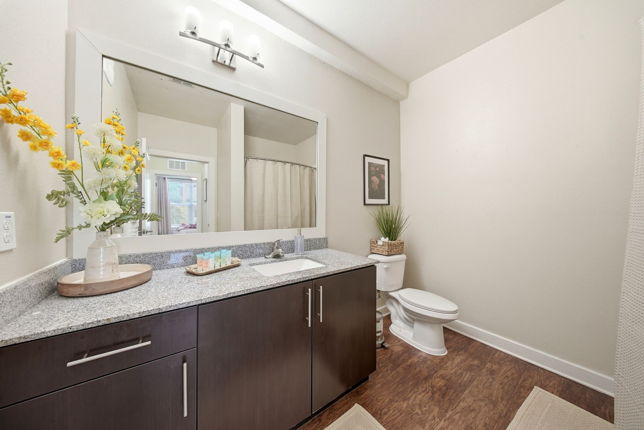 Une salle de bain avec un grand miroir, des meubles en bois foncé, des toilettes blanches et une petite plante en pot.