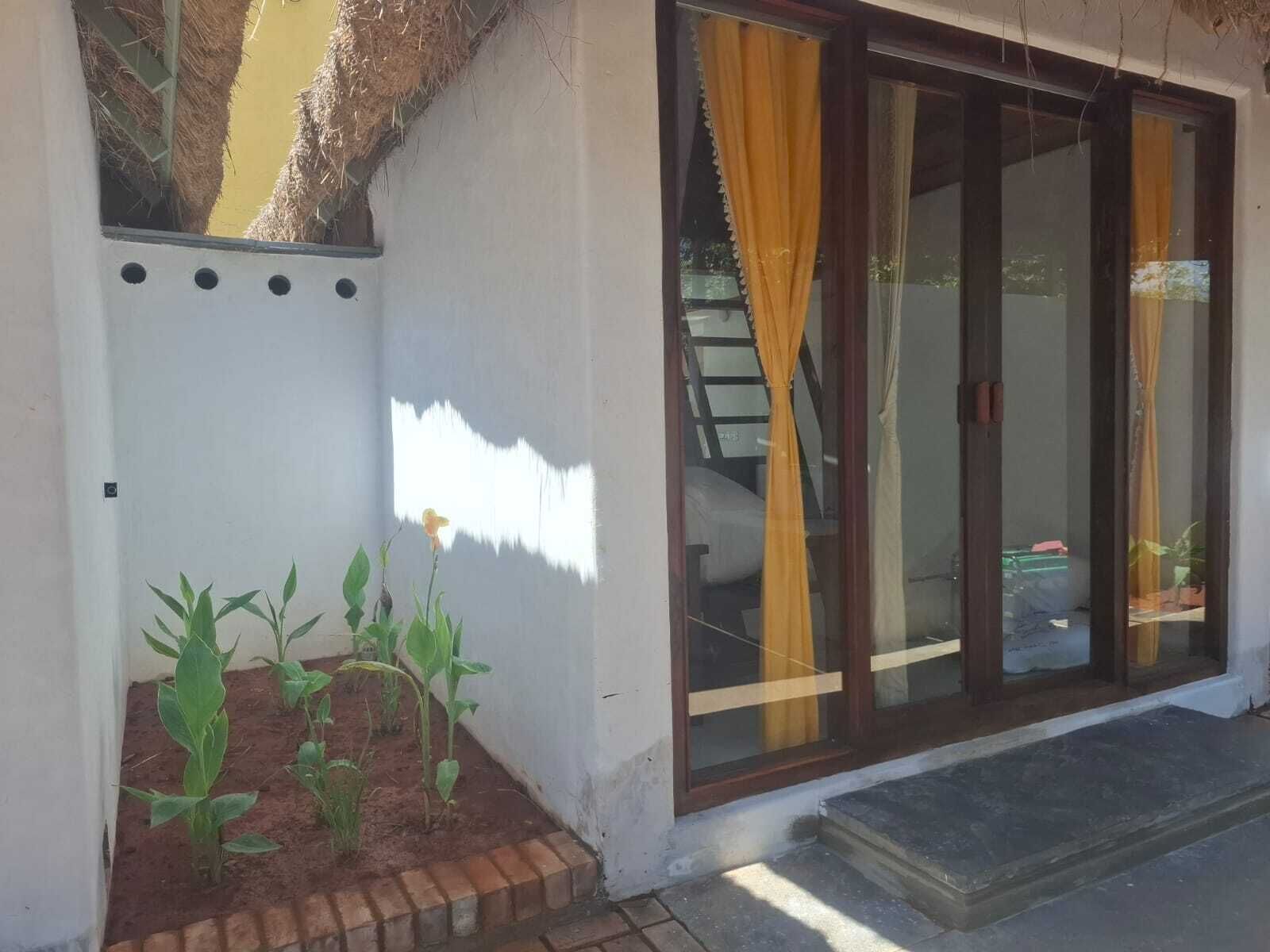 Un bâtiment à l’extérieur blanc, un petit jardin avec de jeunes plantes et une porte-fenêtre coulissante avec des rideaux jaunes.
