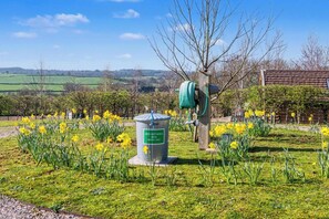 Property grounds - Willow Stylish pod with peaceful rural views (Lancercombe)