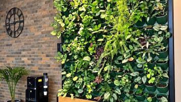 Pared vertical jardín con un reloj, dispensador de agua y una planta en maceta.