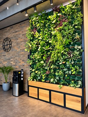 A vertical garden wall with a clock, a water dispenser, and a potted plant. - Fama 12 Hotel (Yerevan)