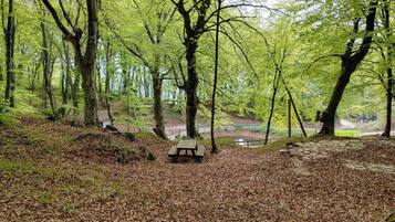 Une zone boisée avec un banc en bois et un sentier pavé de pierres.