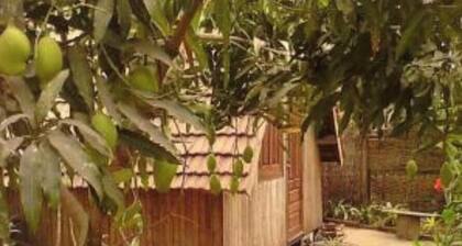 Miotisoa Guest House Les Vanilliers