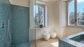 Shower, hair dryer, towels, toilet paper