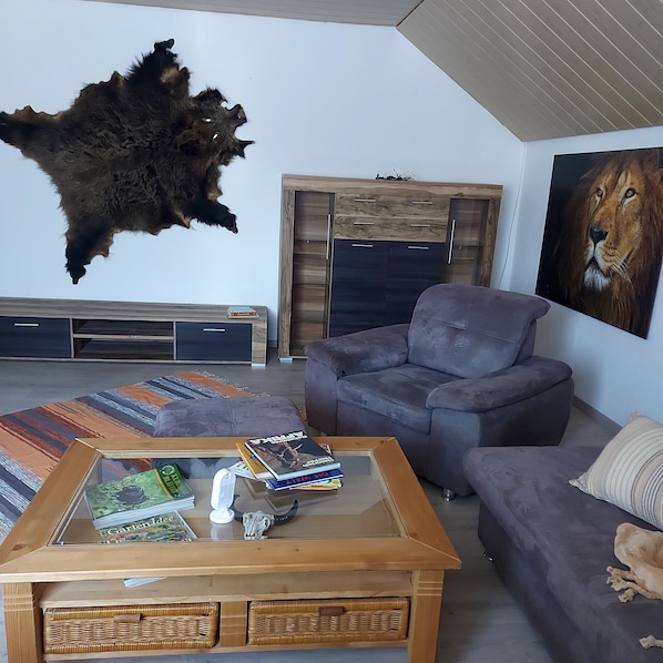 A living room with a mounted animal hide, a sofa, a coffee table with books, and a painting of a lion.