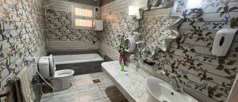 Hair dryer, towels, soap, toilet paper