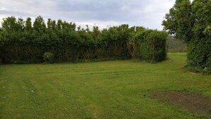 Ein grasbewachsenes Feld mit einer Hecke und Bäumen im Hintergrund.