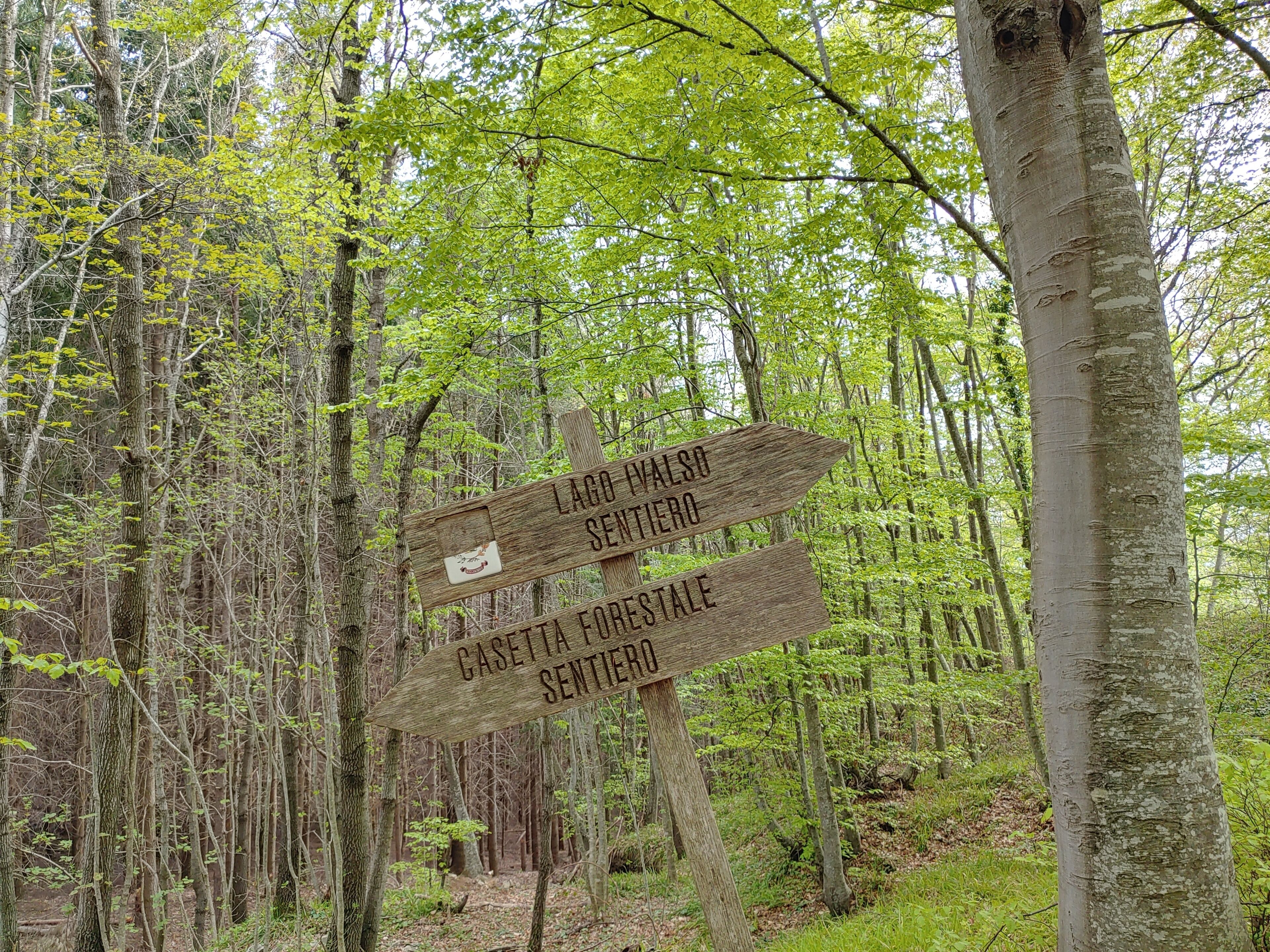A wooden signpost in a forest with directions to Lago Valso Sentiero and Casetta Forestale.