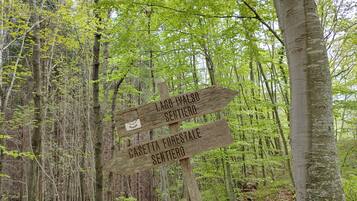 A wooden signpost in a forest with directions to Lago Valso Sentiero and Casetta Forestale.