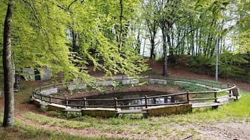 Overnattingsstedets uteområder