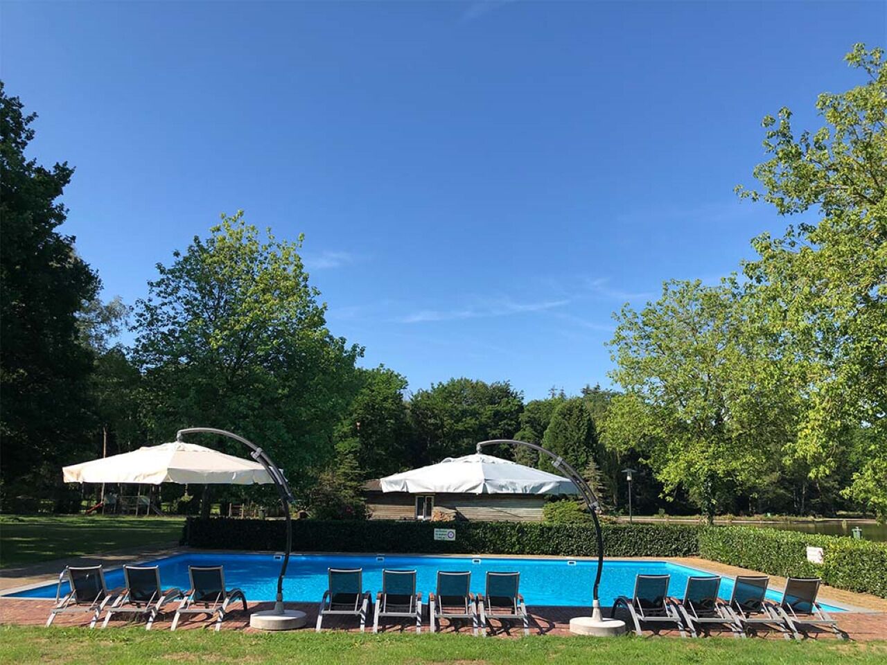 A swimming pool with lounge chairs and umbrellas, surrounded by trees and a clear sky.