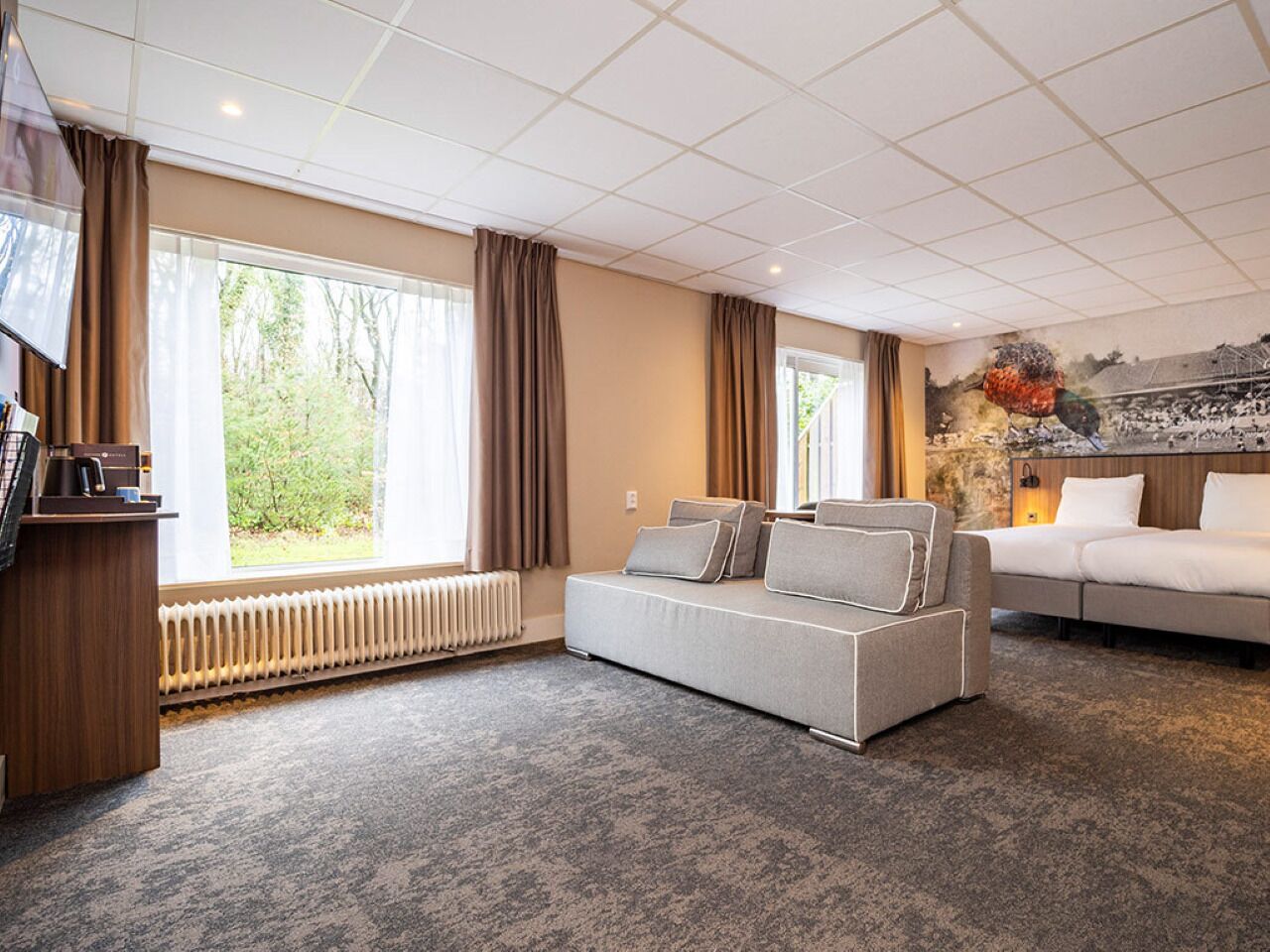 Une chambre d’hôtel avec un canapé, un lit, une télévision et un radiateur.