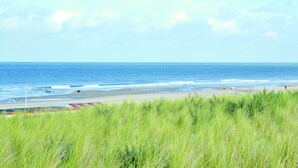 Nær stranden