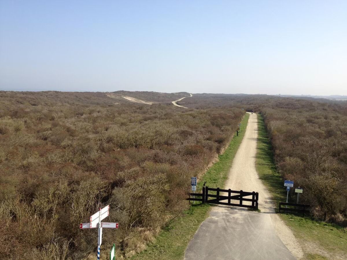 A rural road with a gate and directional signs.