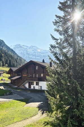 Unclassified image, 5 of 7, button - Rotebächli Maisonette by Interhome (Lenk)