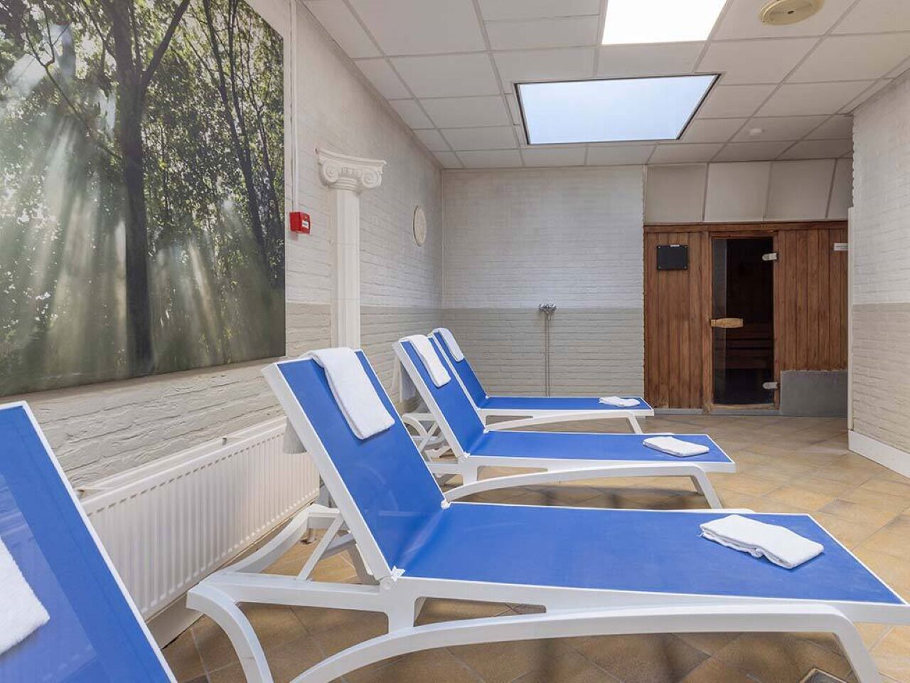 A room with four blue lounge chairs, a large window with a forest view, a skylight, and a wooden door.