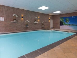 Pool - Peaceful Retreat: Cycling, Nature Trails, Sauna and Indoor Pool - 2 Units (Zeegse)