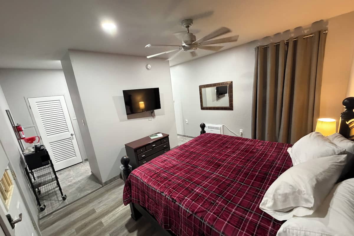 A hotel room with a bed, a ceiling fan, a TV, a mirror, and a door.