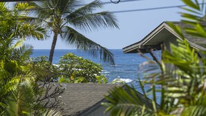 Vista sulla costa con una casa, palme e l'oceano.