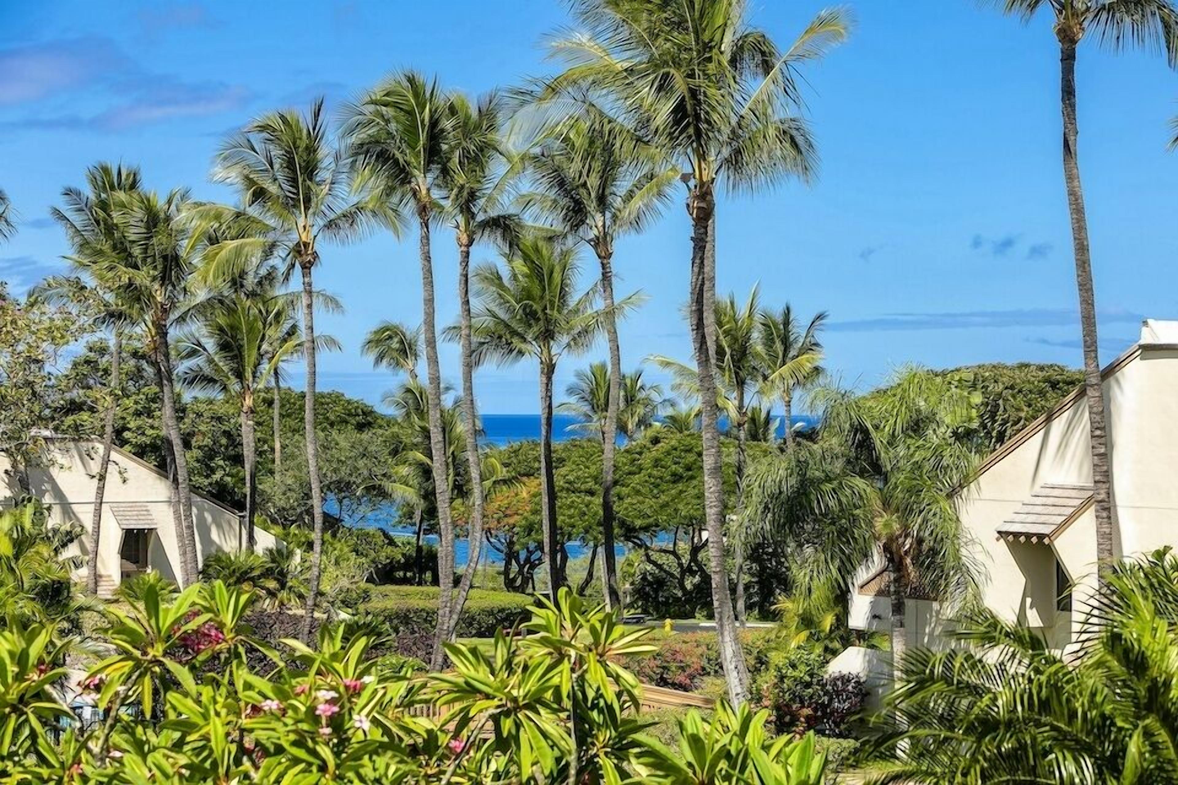 A resort with palm trees, a pool, and a view of the ocean.