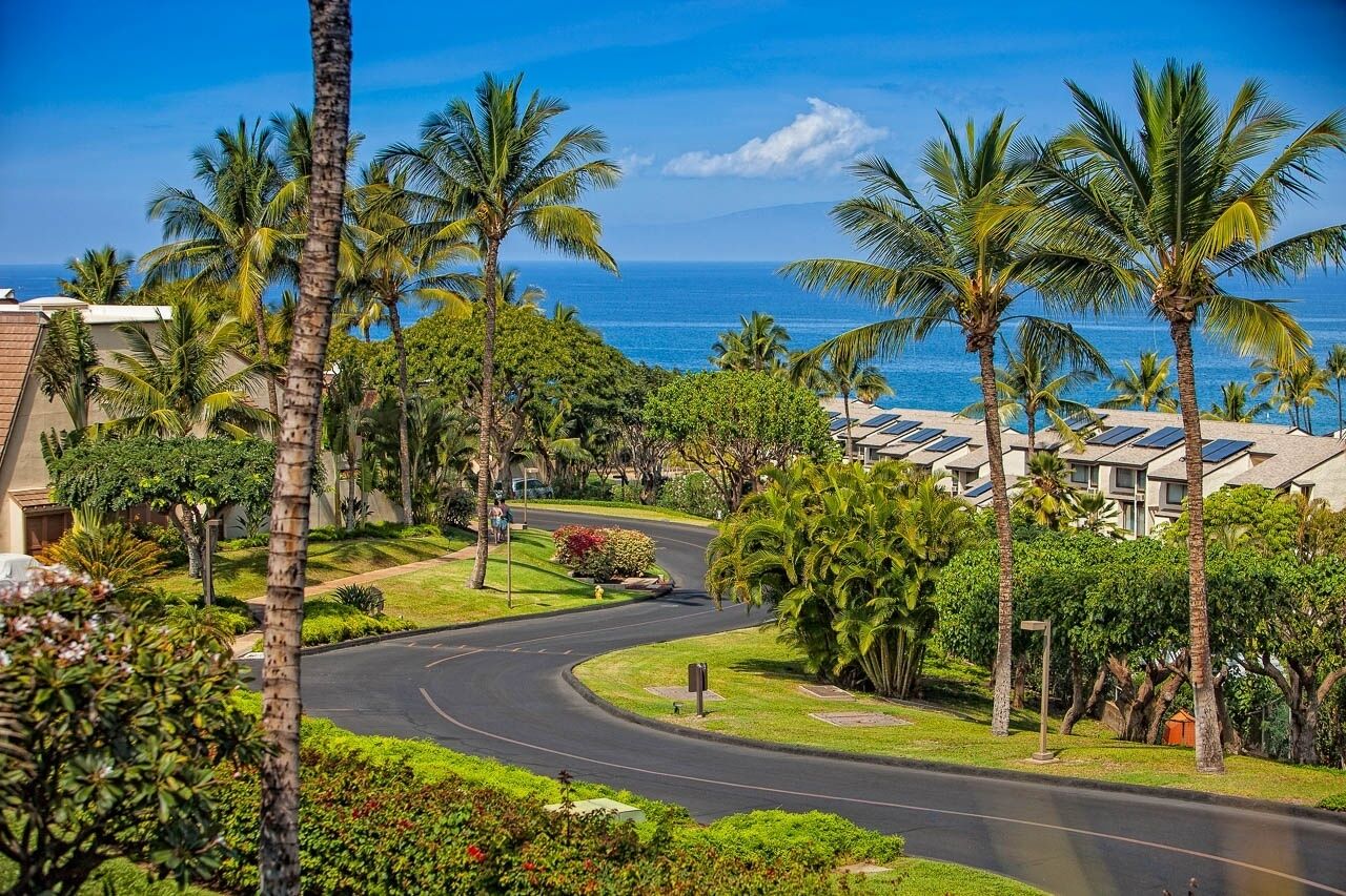 A coastal road lined with palm trees and a view of the ocean.
