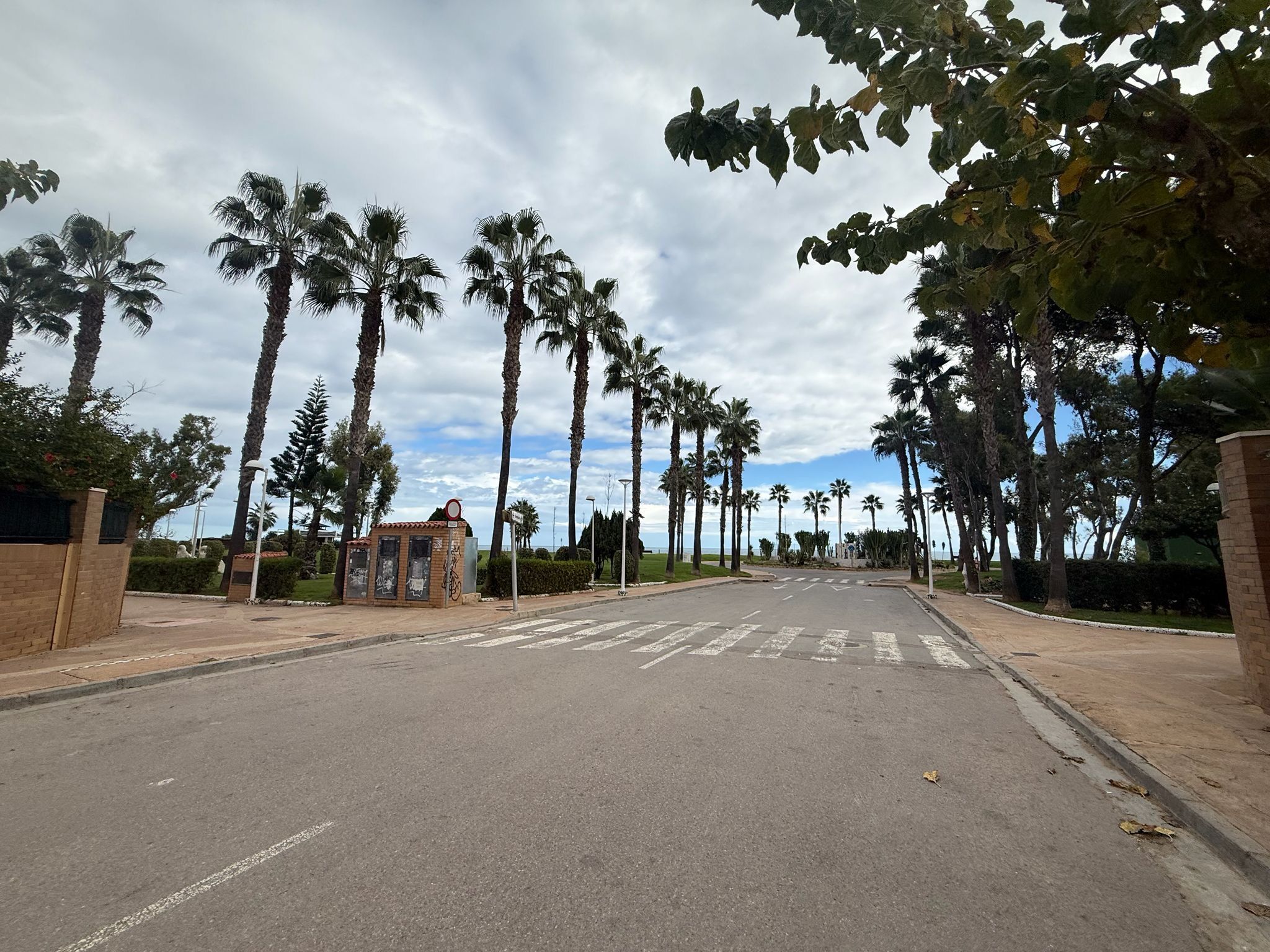Una carretera bordeada de palmeras y un pequeño edificio con una bicicleta.