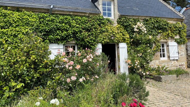 Um edifício de pedra com telhado cinzento em tijolos, paredes cobertas de hera e um jardim com flores rosa e brancas.