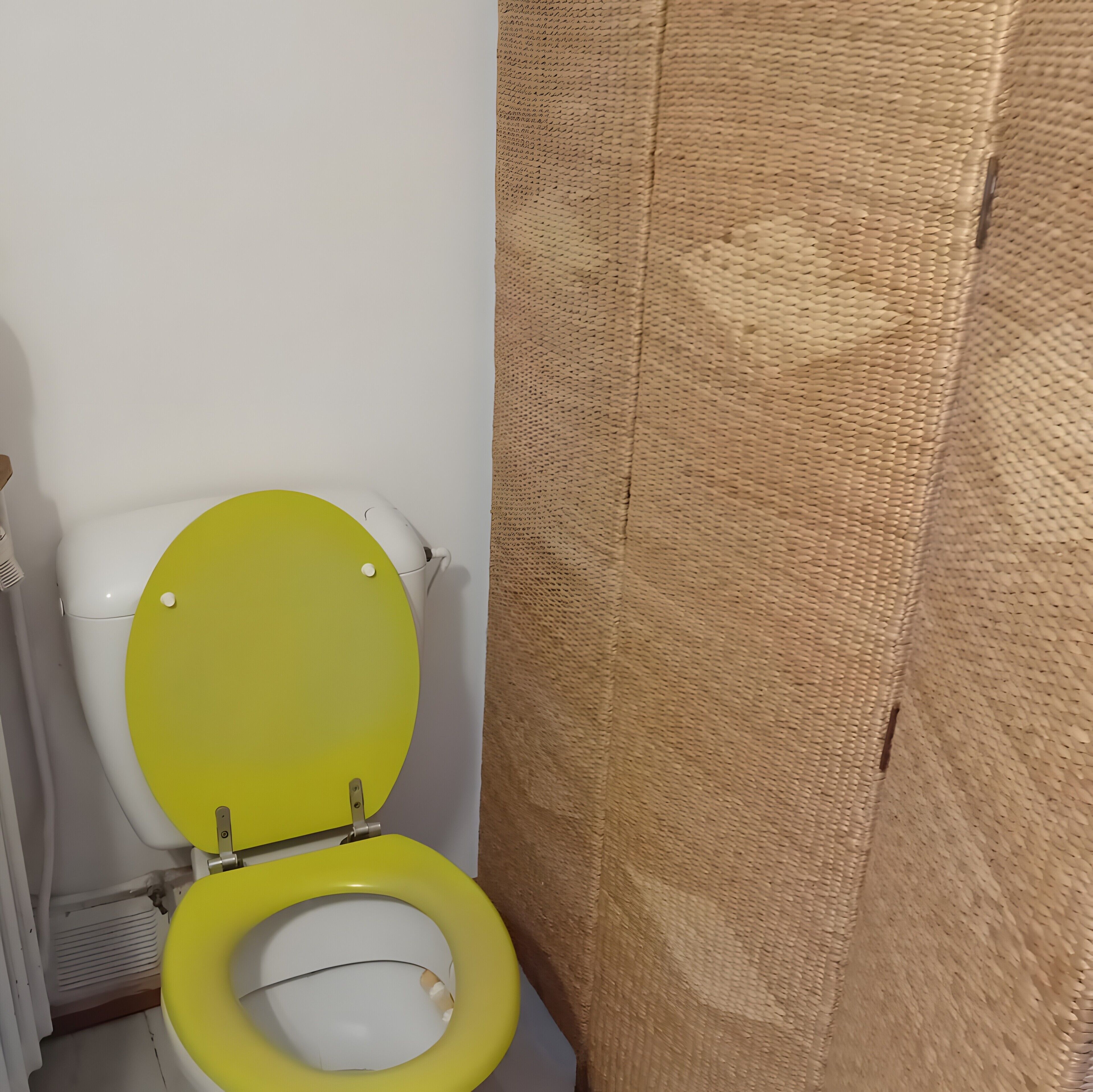 Een badkamer met een toilet, douchegordijn en een witte wand.