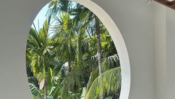 Une fenêtre circulaire donnant sur une végétation tropicale.