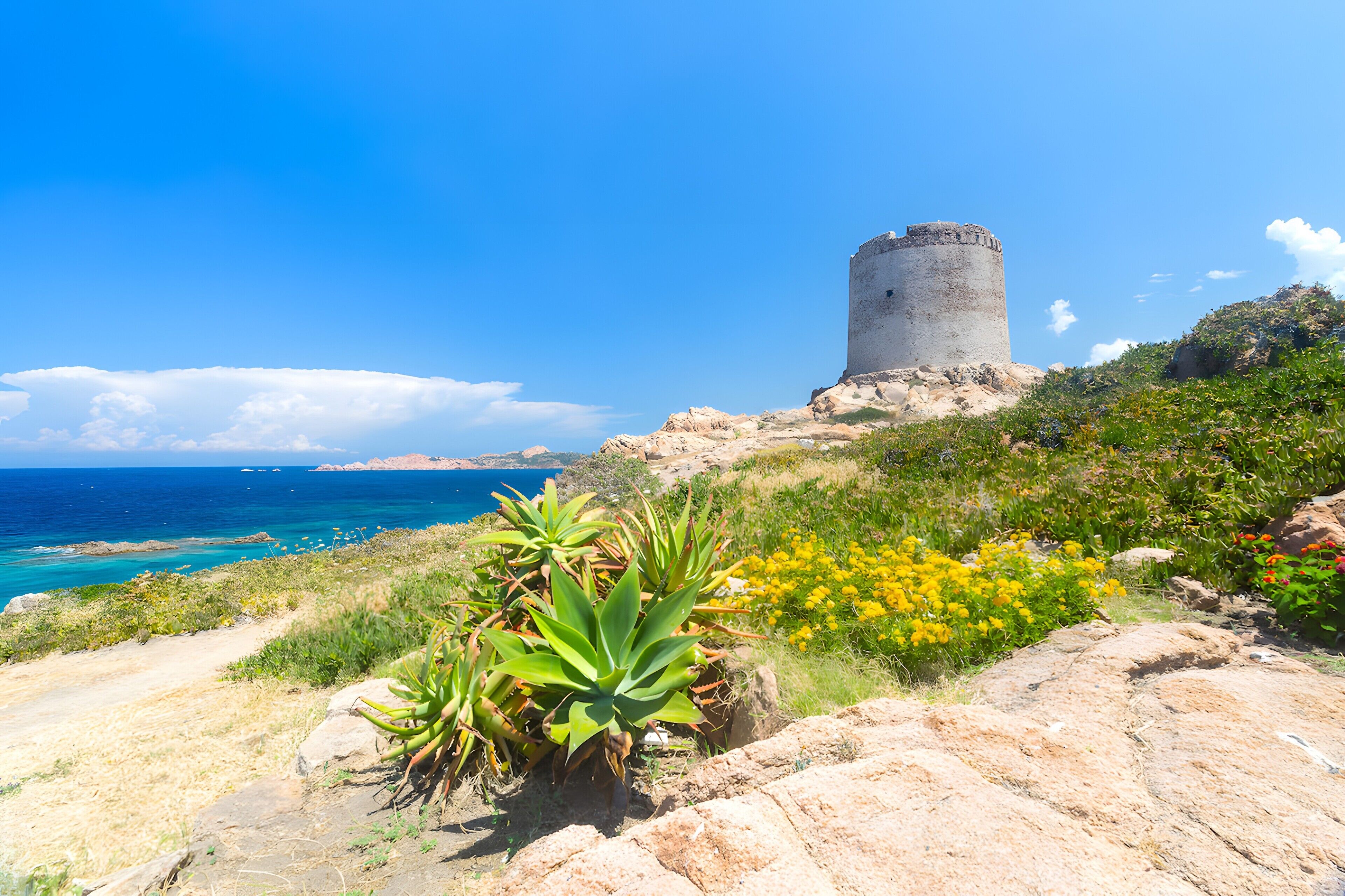 Paisaje costero con una torre histórica, terreno rocoso y vegetación propia de la costa.