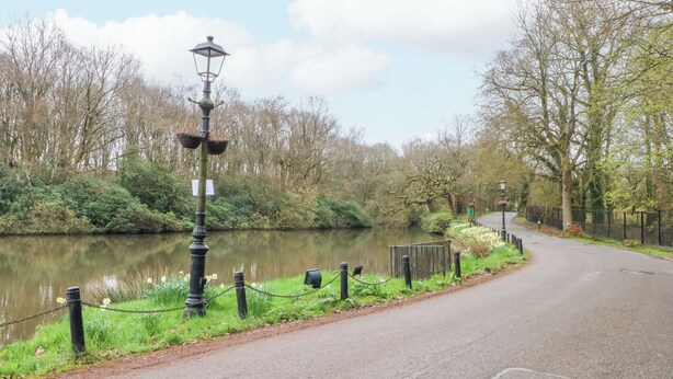 Un sendero pavimentado que bordea un río tranquilo, flanqueado por árboles y un farol.