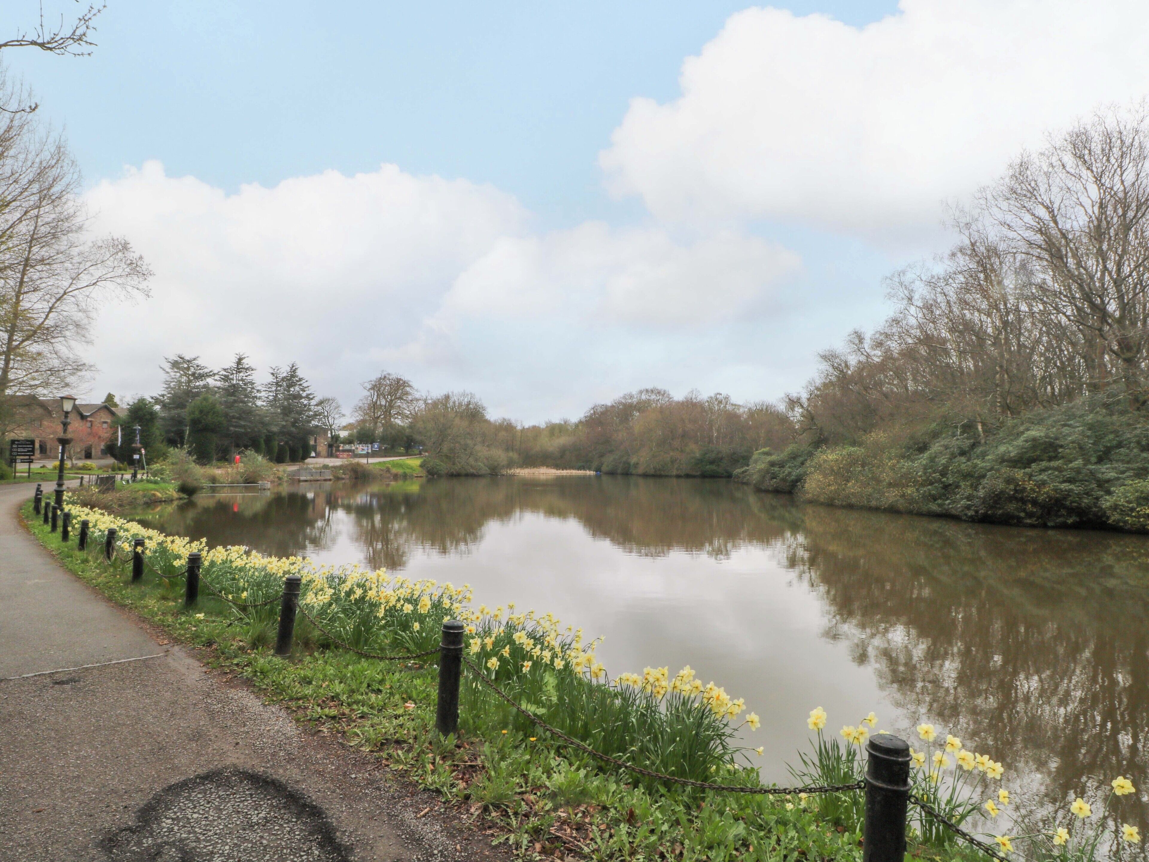 A calm river with a path lined with yellow flowers and trees.