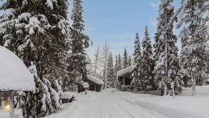 En snötäckt väg leder fram till en stuga där man kan se ljus inifrån, och stugan är omgiven av höga, vintergröna träd.