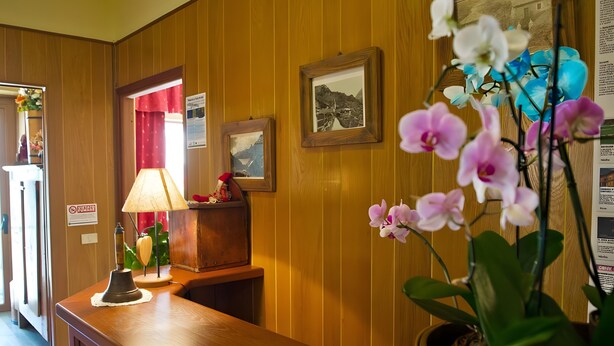 Um quarto com painéis de madeira, uma mesa de recepção, uma luminária, um quadro emoldurado e uma orquídea em vaso.