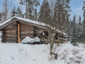 Exterior - Kelosyväri 13 by Interhome (Nilsiä)