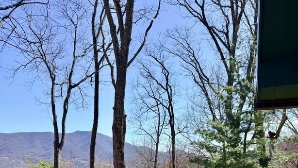 A hot tub on a deck with a view of mountains and trees. - Cardinals Nest In The Smokies ~ Family Friendly (Haywood County)
