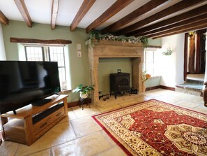 A living room with a fireplace, a television on a wooden stand, a patterned rug, and stone flooring. - Orchard View (Alfreton)