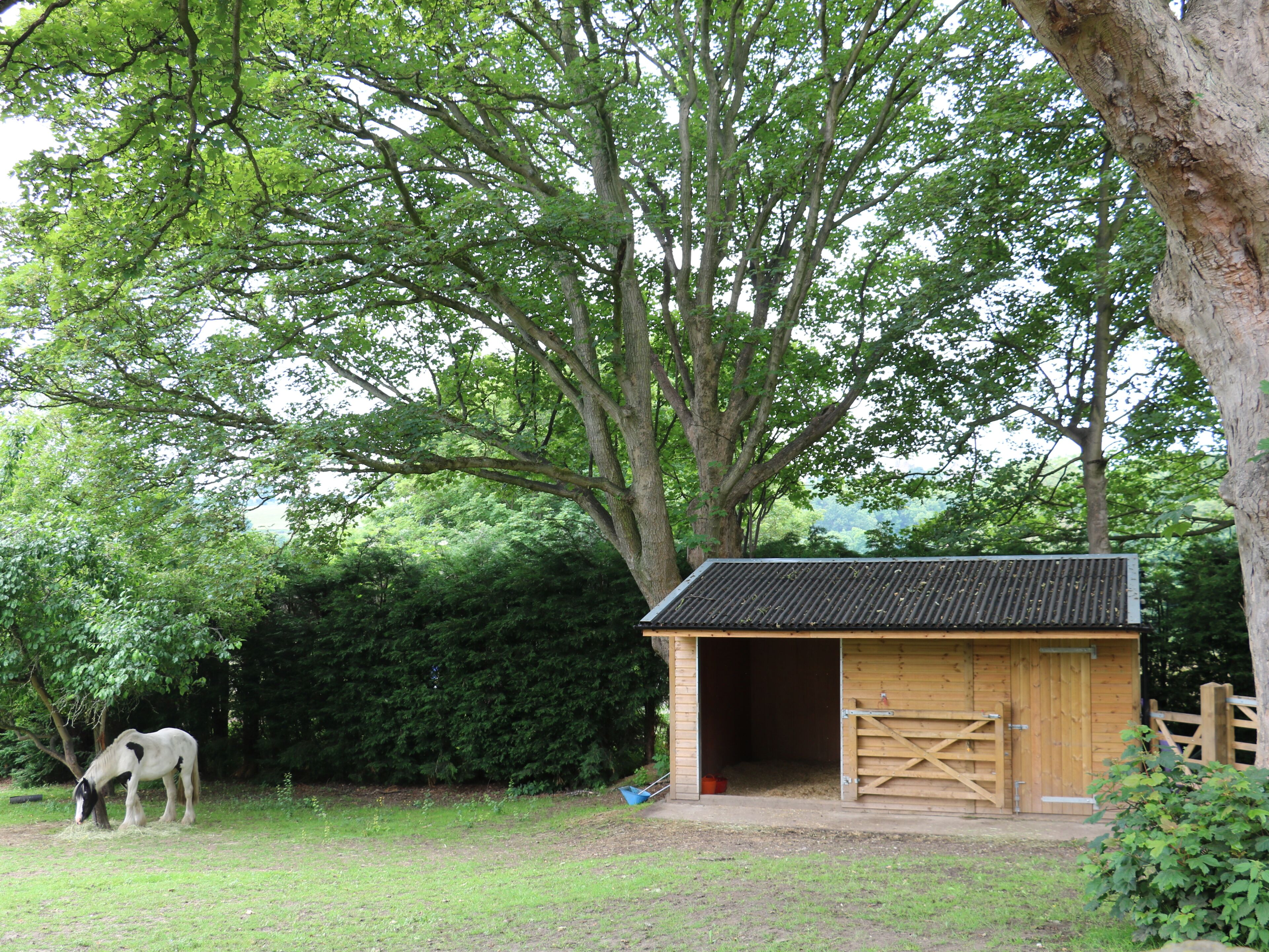A stable with a wooden roof and open doors, a horse grazing nearby, and a large tree in the background.