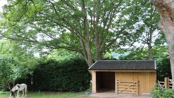 A stable with a wooden roof and open doors, a horse grazing nearby, and a large tree in the background.