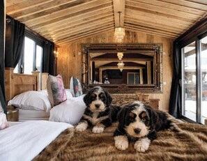 1 bedroom, WiFi