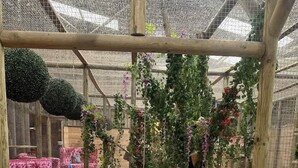 Un invernadero con un cartel que dice 'NO CAMINAR', bancos de madera y una variedad de plantas.