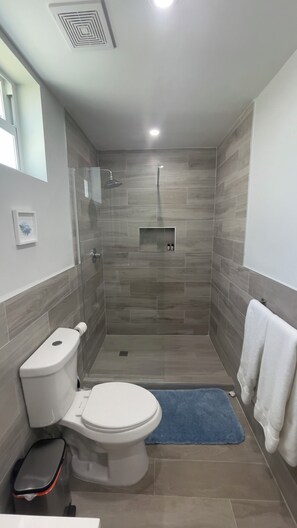 Shower, hair dryer, towels, soap - The Oasis Villa (Nassau)