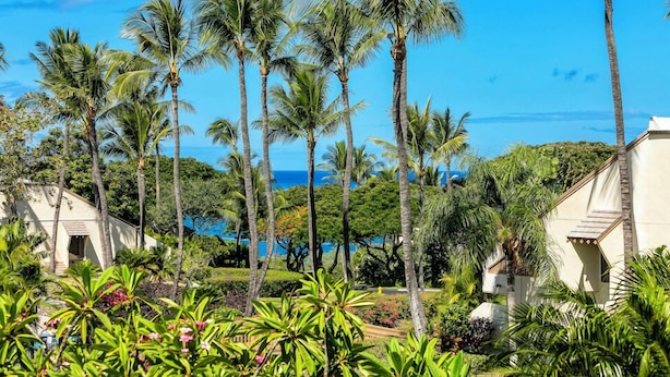 Un resort tropicale con palme, una piscina e vista sull'oceano.