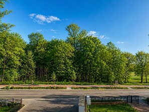 A road with a sidewalk, trees, and a clear sky.